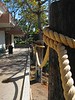 Misc Shots : A collection of photos that don't fit into any of the other albums I have currently put together.